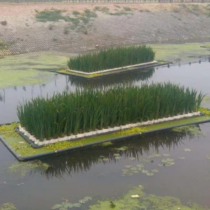 生态浮床 河道绿化工程